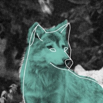 Placeholder - Liesje